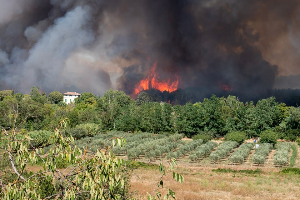 © Shutterstock / Aubais, France - July 31, 2022