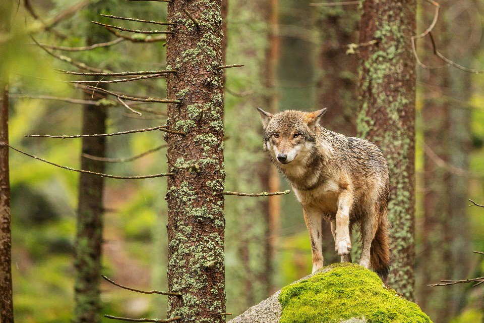 © Shutterstock