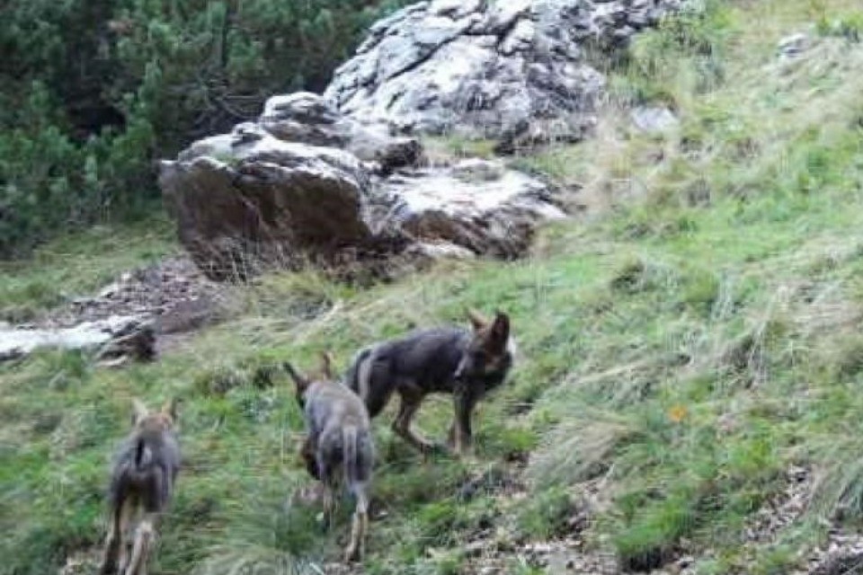 Immagine Dipartimento del territorio