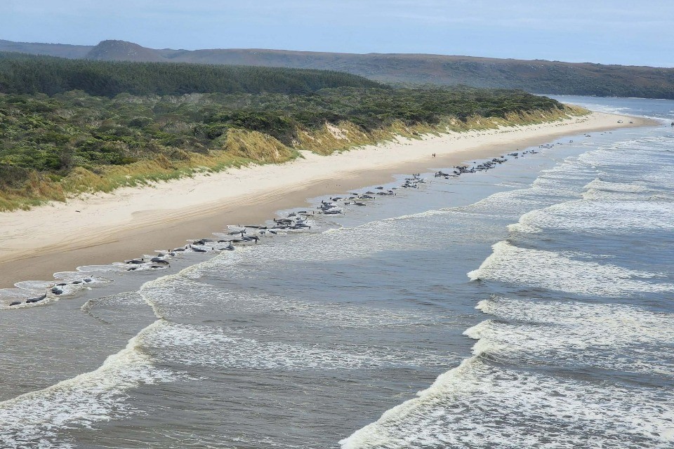 © Department of Natural Resources and Environment Tasmania