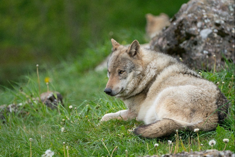 © Shutterstock