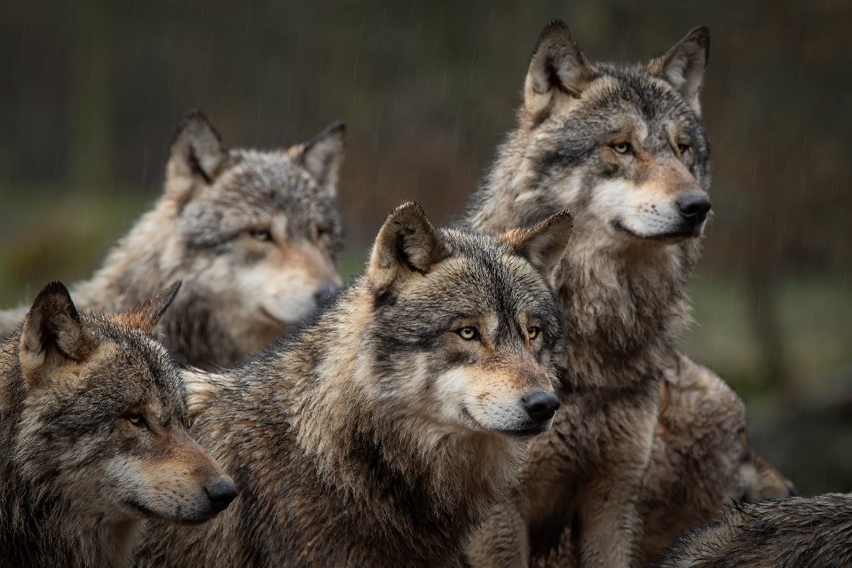 © Shutterstock