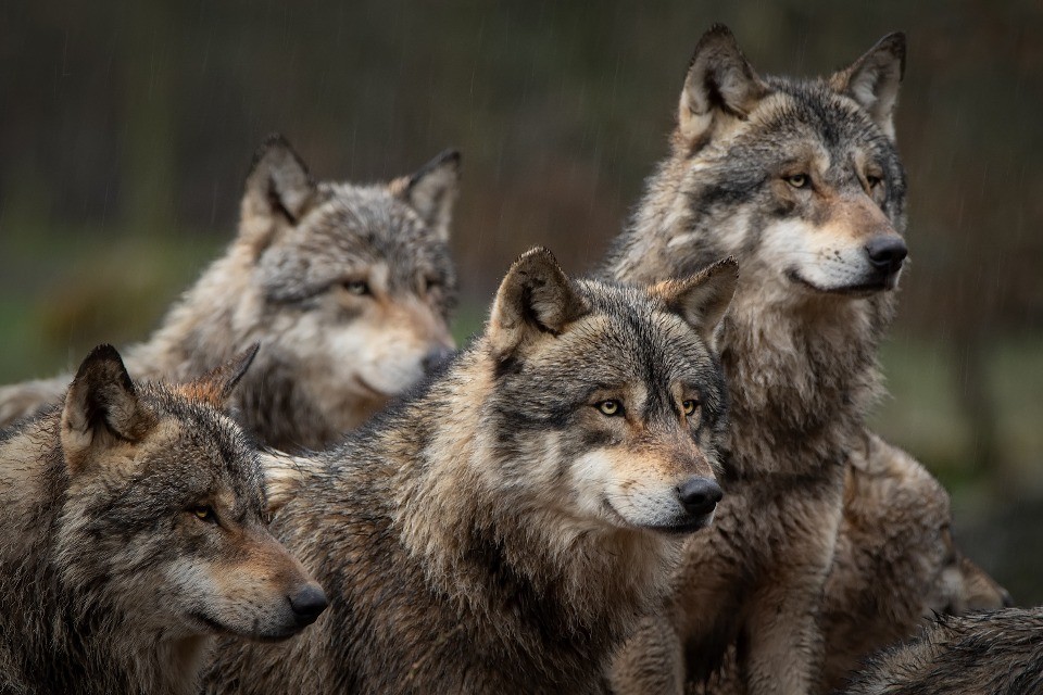 © Shutterstock