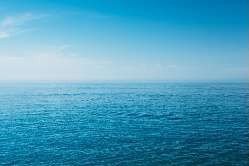 © Shutterstock