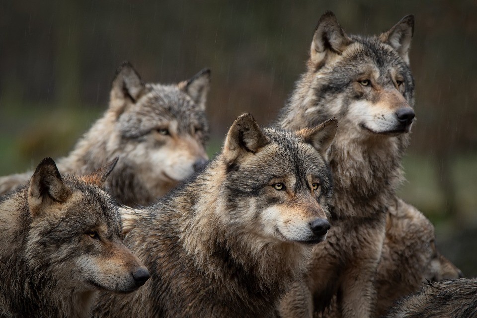 © Shutterstock