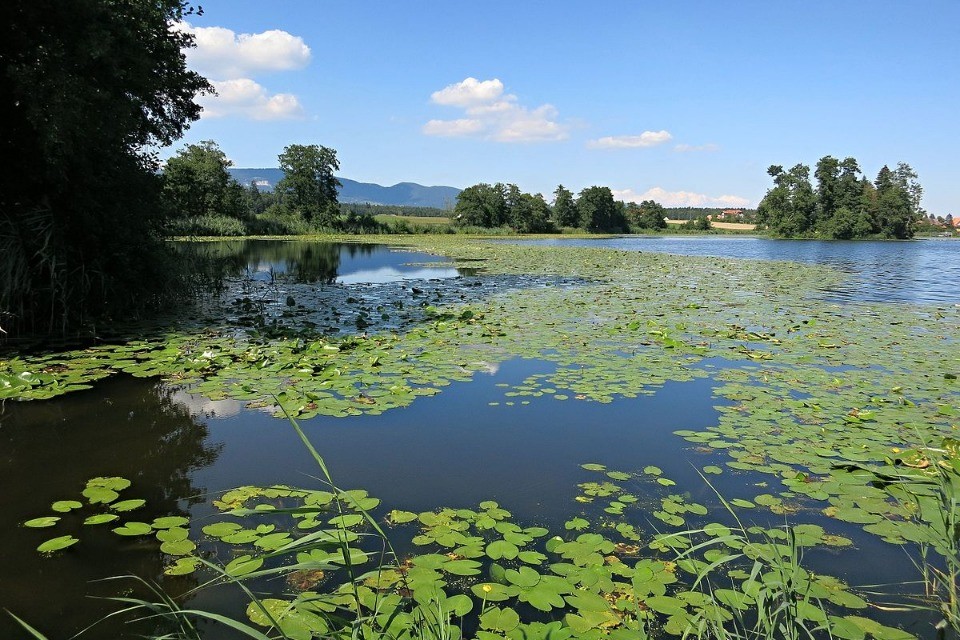 L'Inkwilersee. Immagine Wikimedia Commons