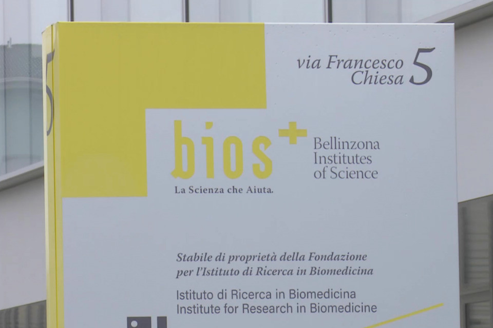 screenshot video