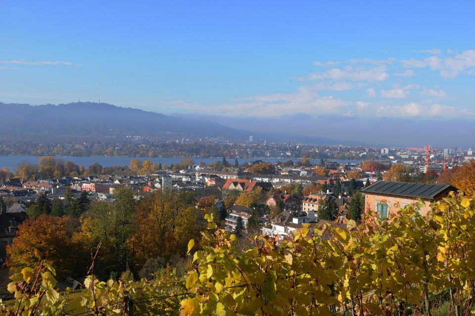 © Shutterstock - Hirslanden