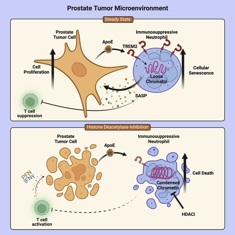 © ScienceDirect