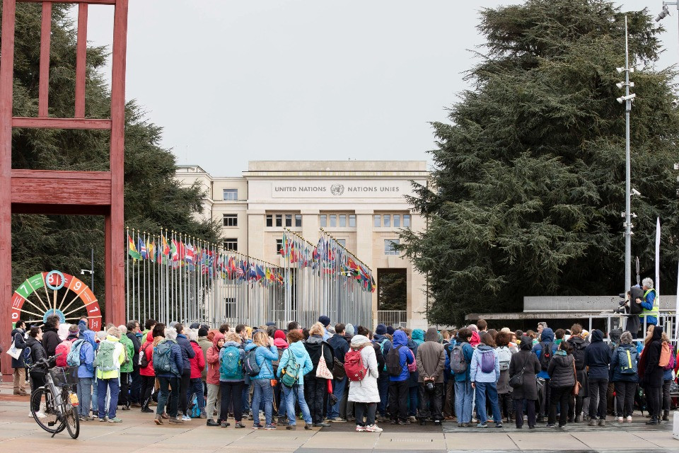 Foto Marche Bleue