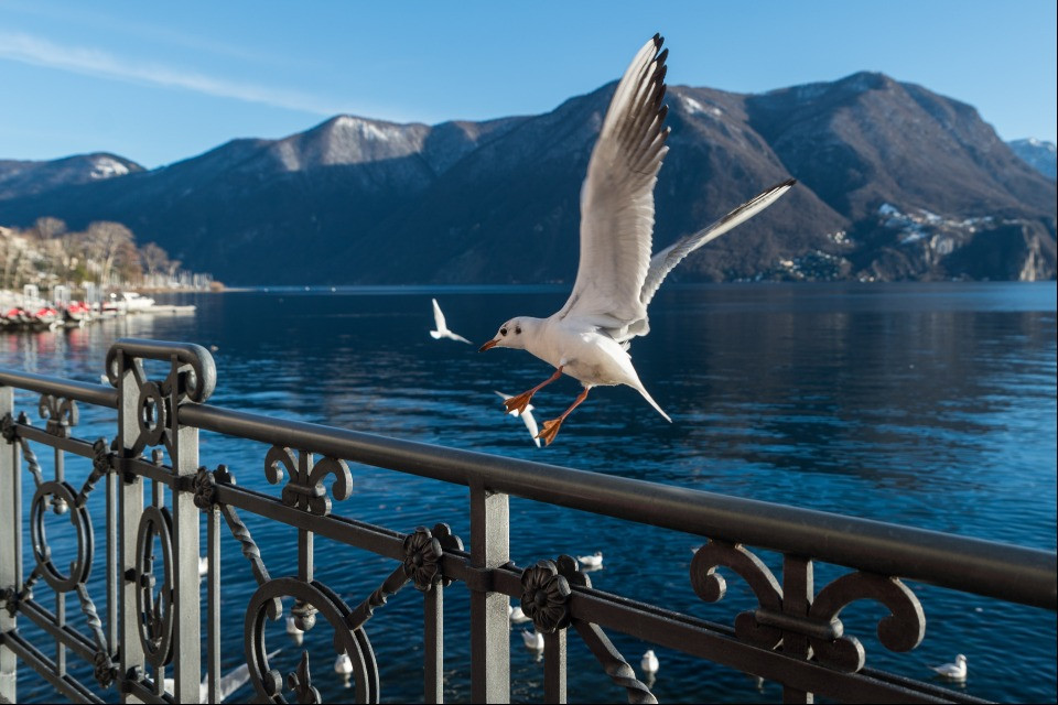 © CdT/Chiara Zocchetti