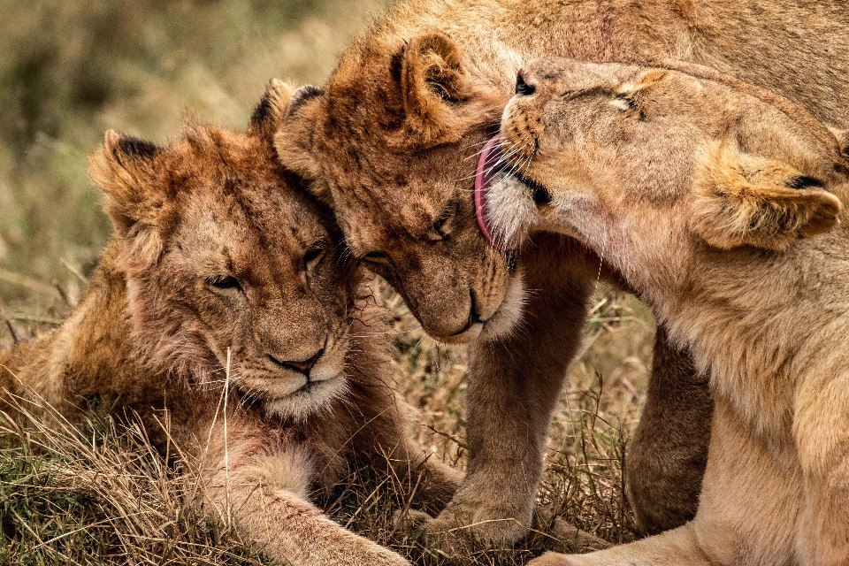 © Shutterstock