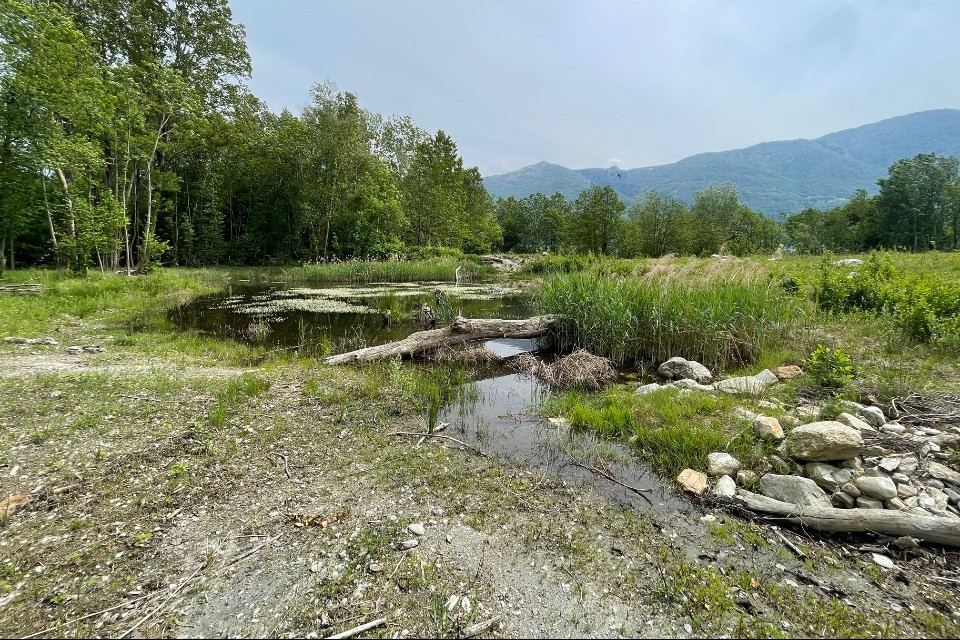 Fondazione del Parco del Piano di Magadino