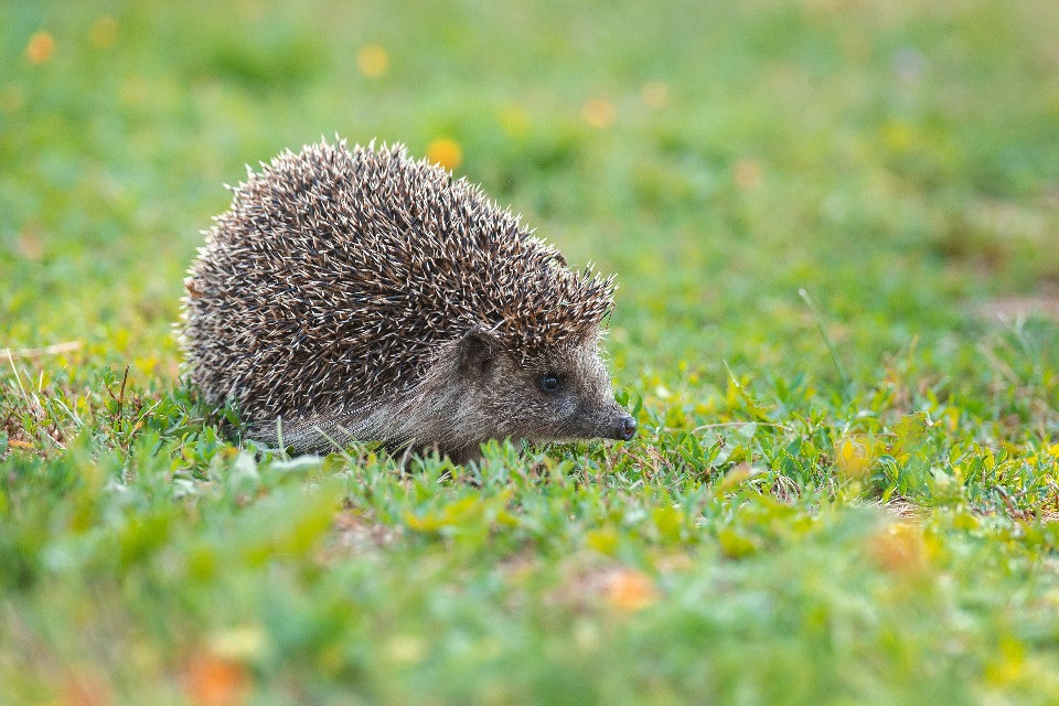 © Shutterstock