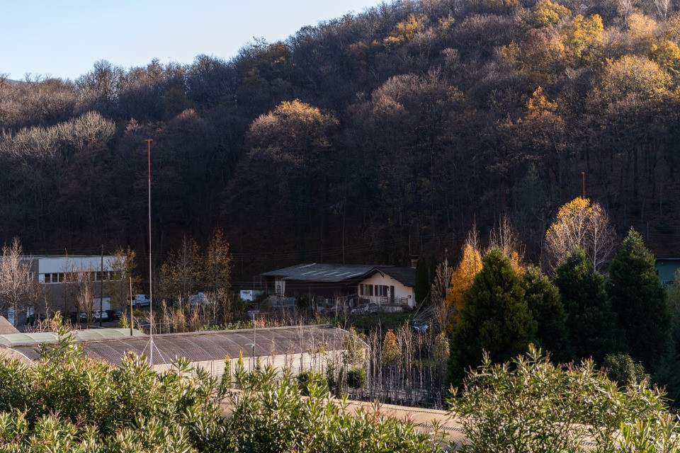 ©Chiara Zocchetti
