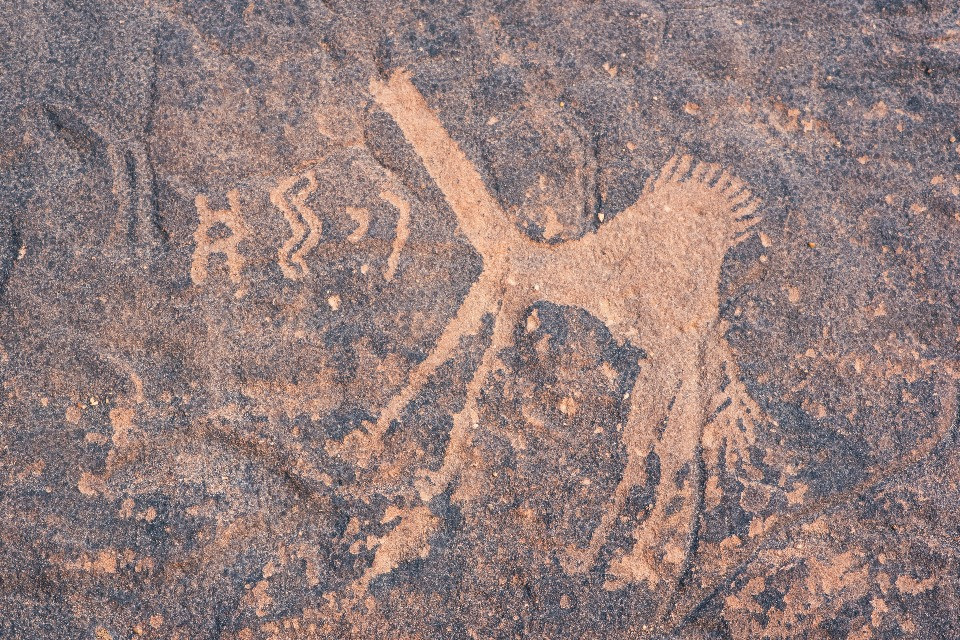 © Shutterstock