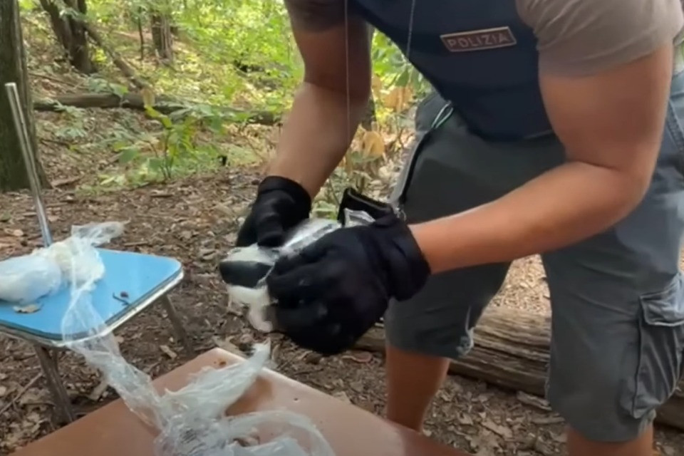 Da video Polizia di Stato italiana