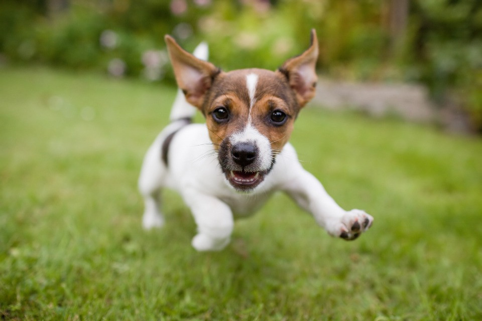 © Shutterstock
