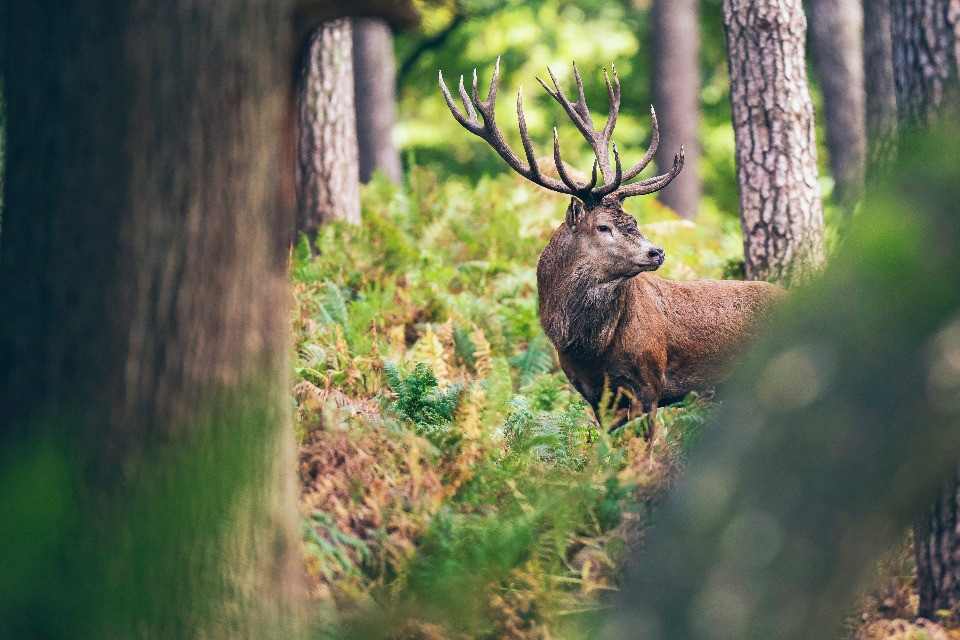 © Shutterstock