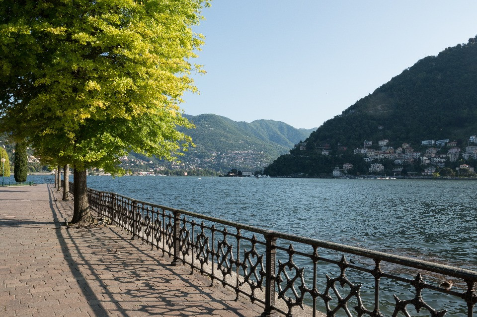 © Shutterstock