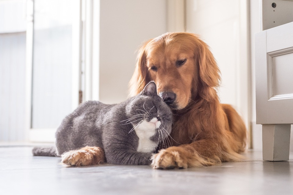 © Shutterstock