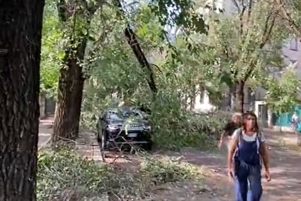 Screenshot video
