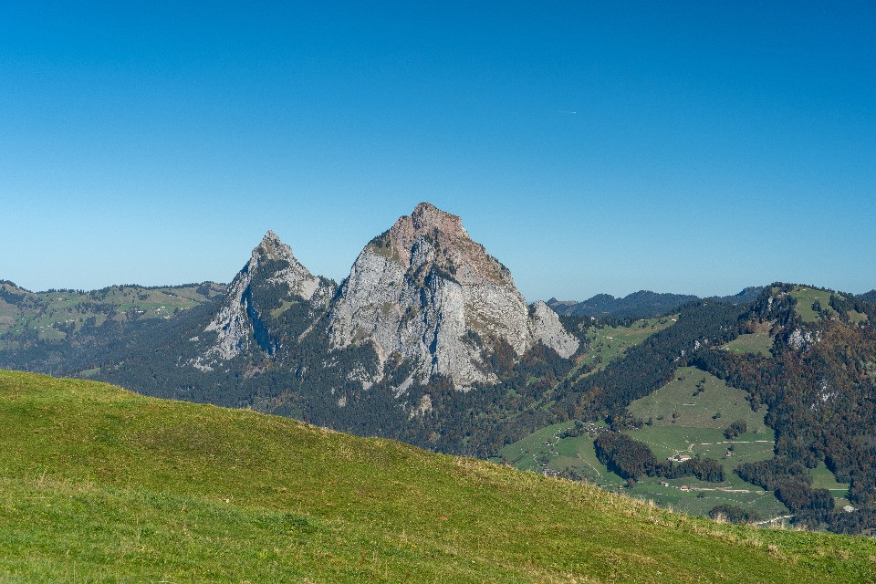 © Shutterstock