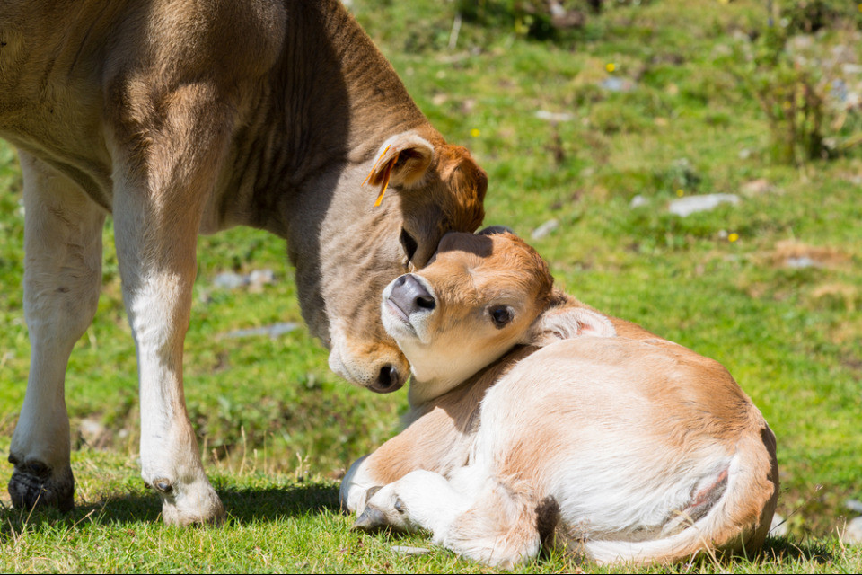 © Shutterstock
