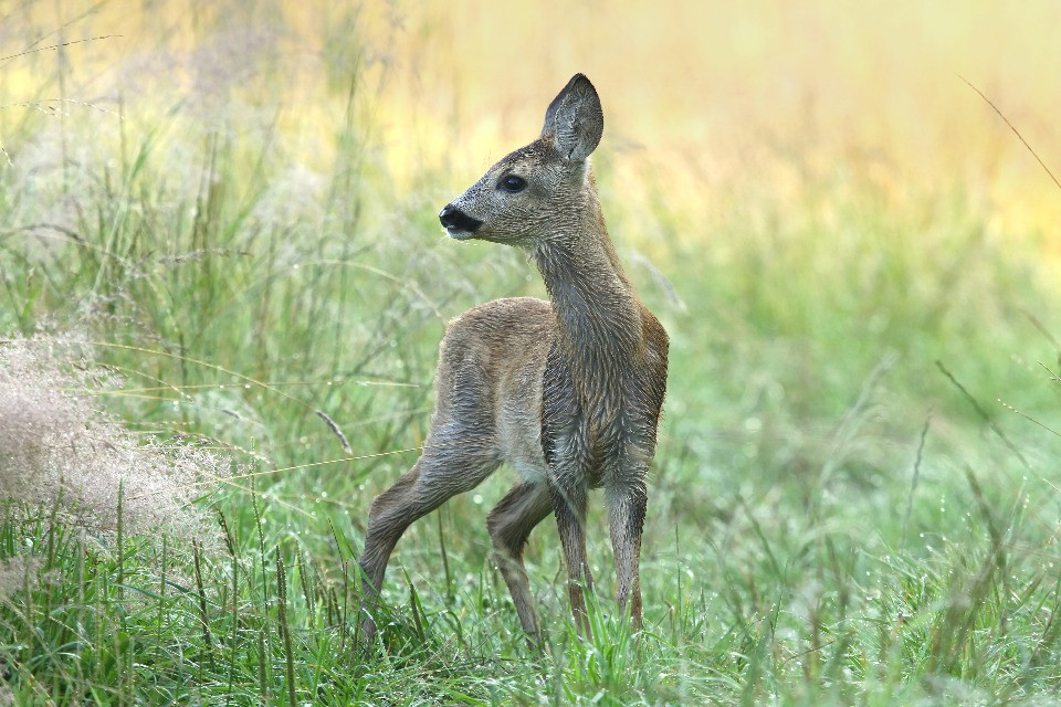 © Shutterstock