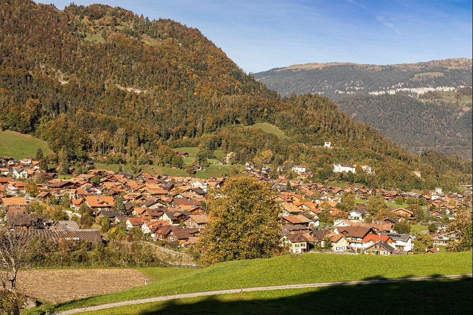 © Shutterstock