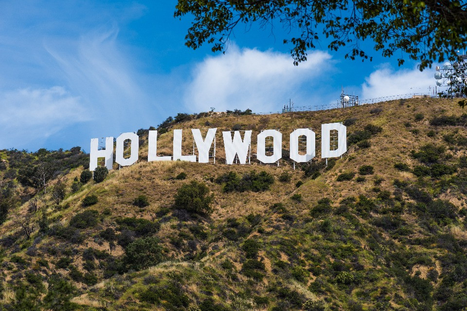 © Shutterstock
