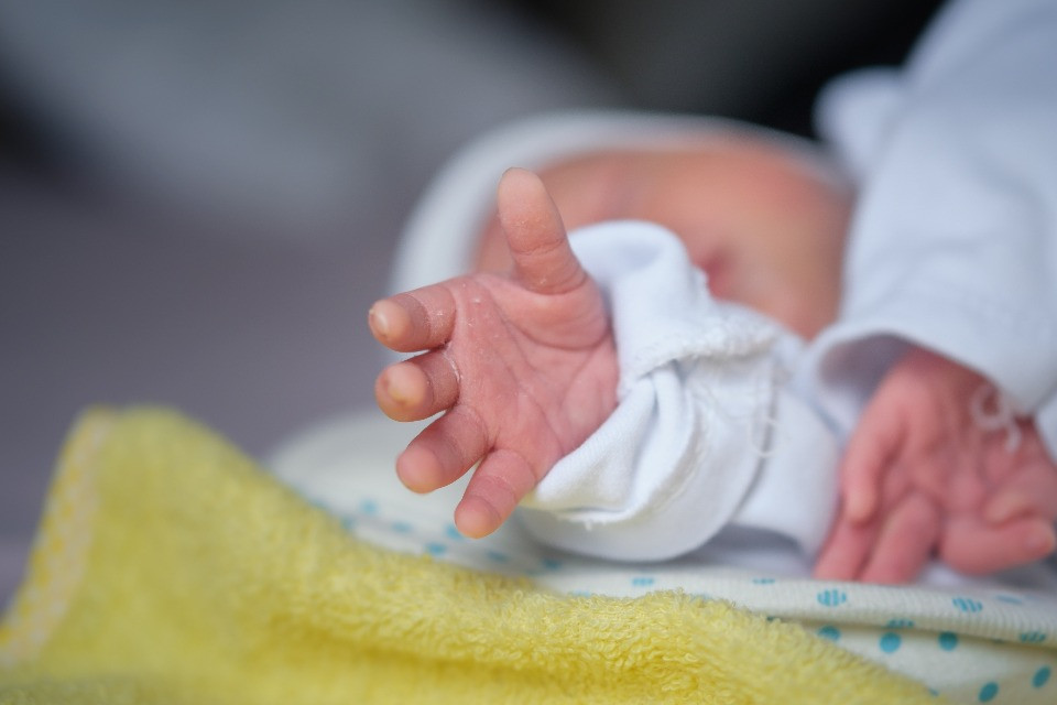 © Shutterstock