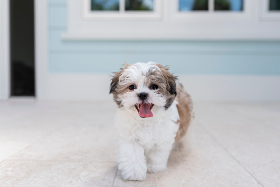 © Shutterstock