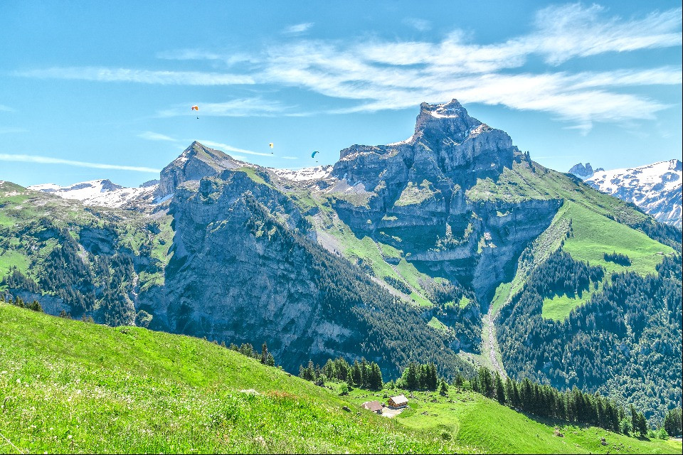 © Shutterstock
