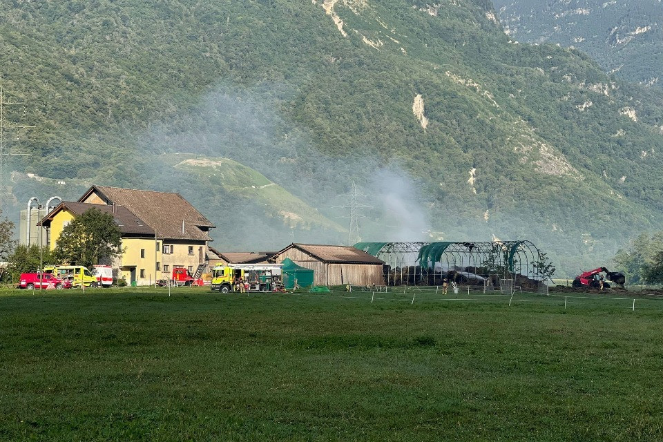 © RescueMedia