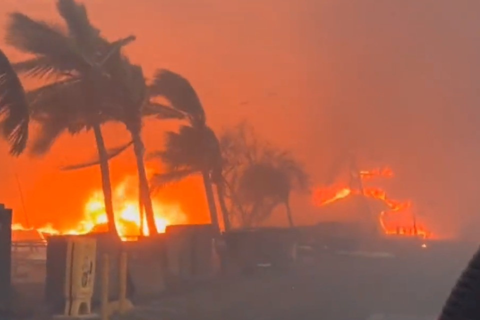 screenshot video