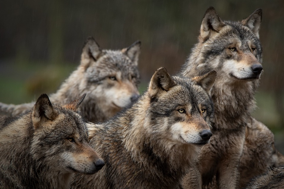 © Shutterstock