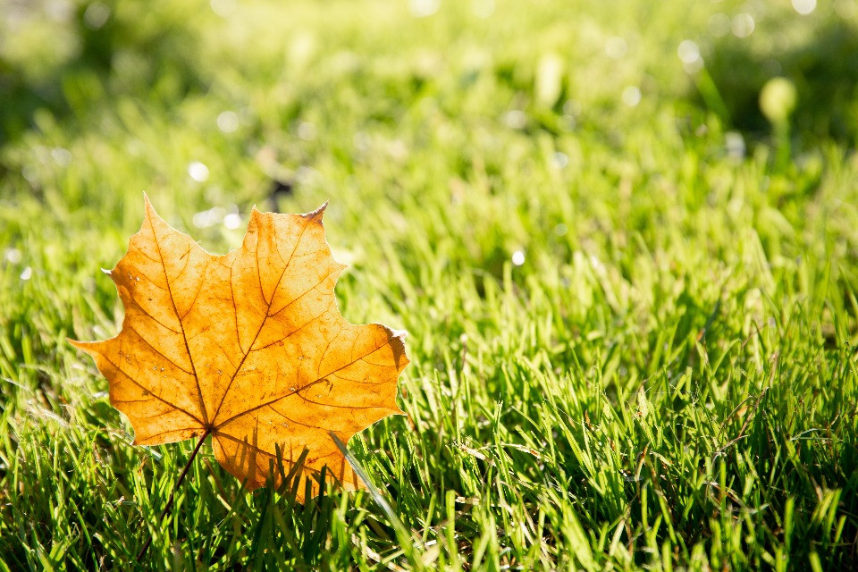 © Shutterstock