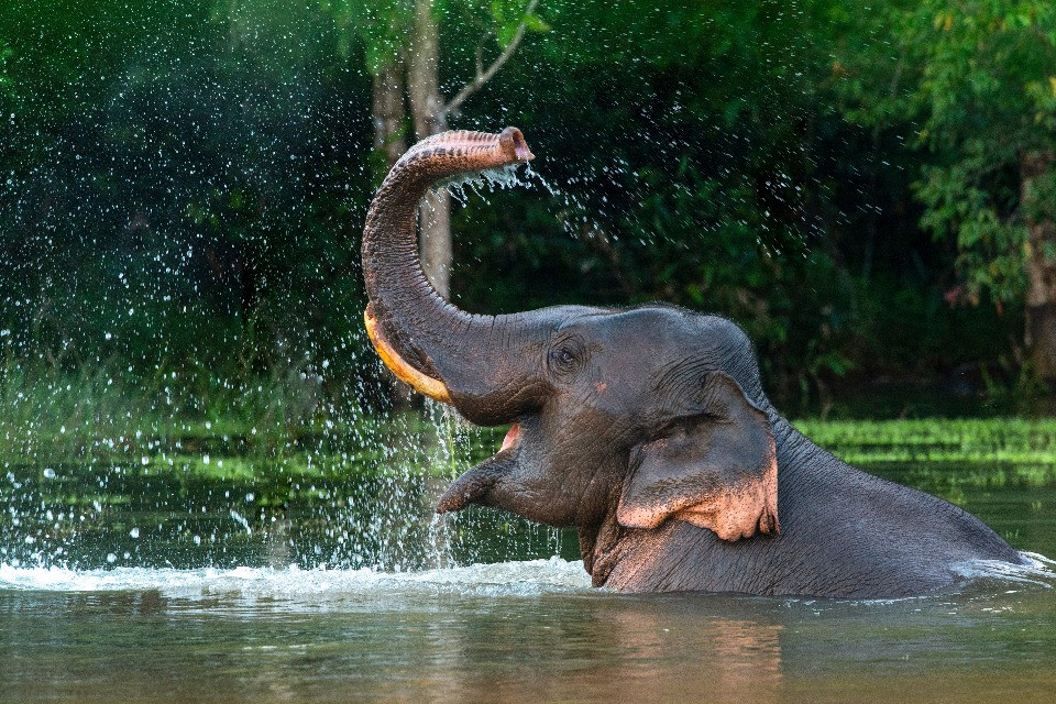 © Shutterstock