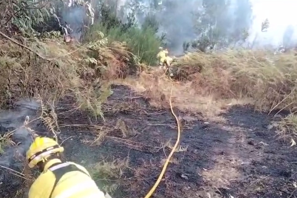 screenshot video