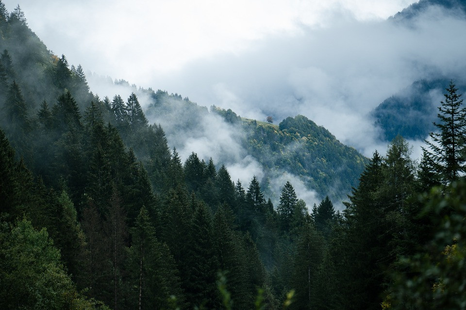 © Shutterstock