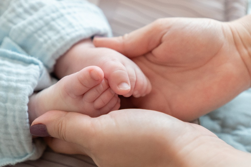 © Shutterstock