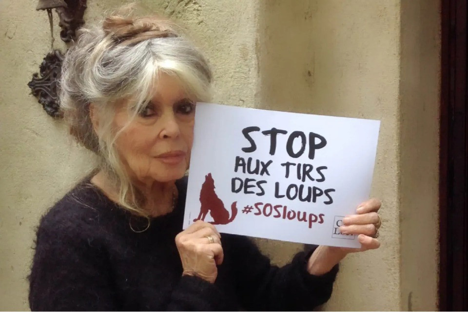 © Fondation Brigitte Bardot