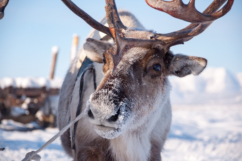 © Shutterstock