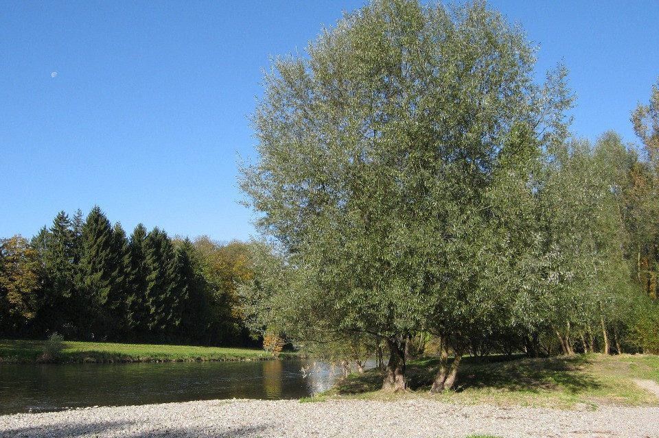 Immagine Città di Zurigo