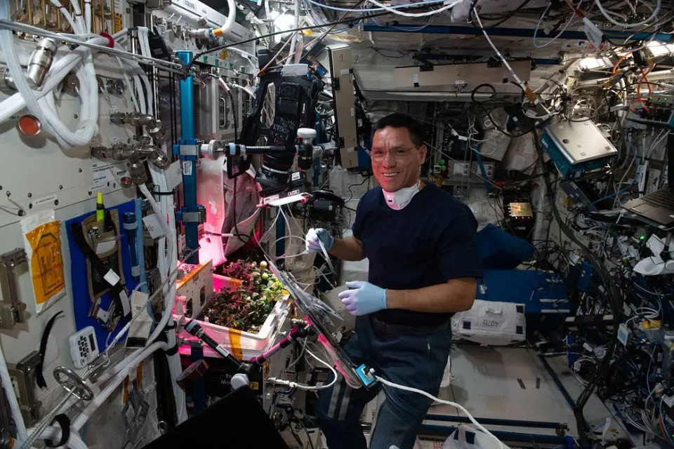 © Koichi Wakata-Japan Aerospace Exploration Agency