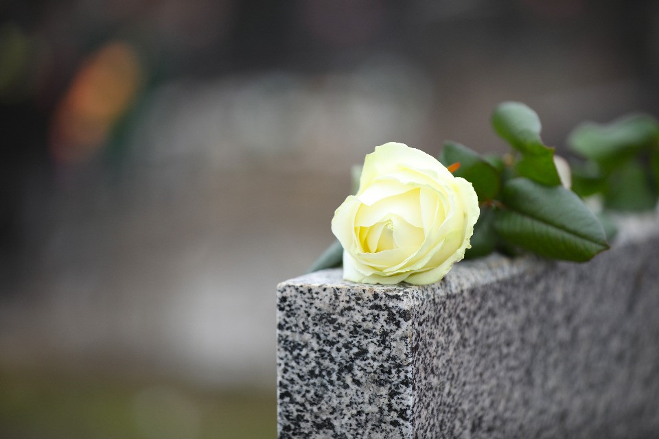 © Shutterstock