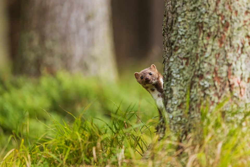 © Shutterstock