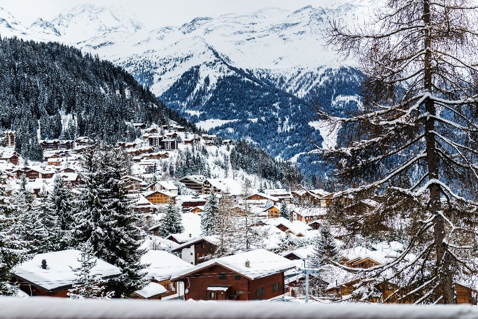 © Shutterstock