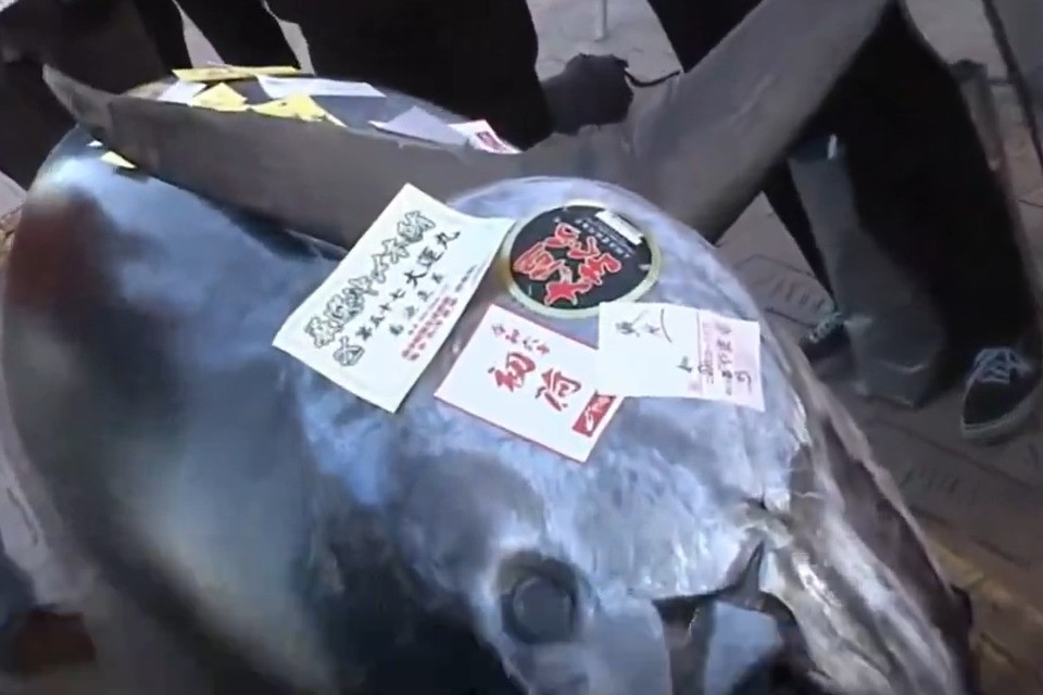 Screenshot video